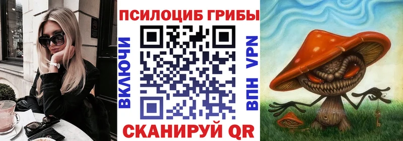 Псилоцибиновые грибы Psilocybe  Чердынь 